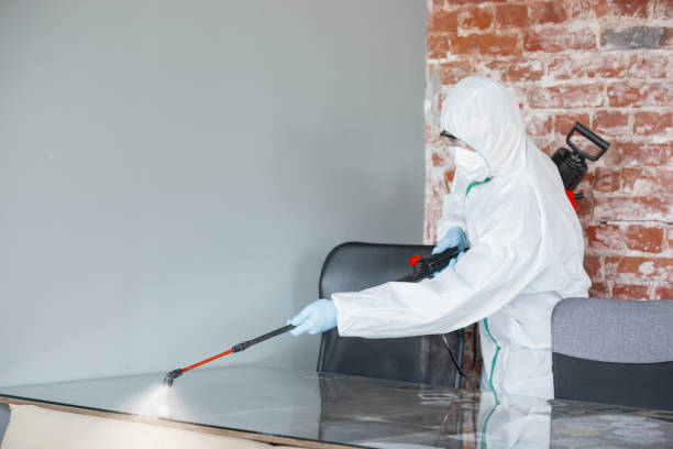 Best Commercial Mold Inspection  in Stevensville, MT